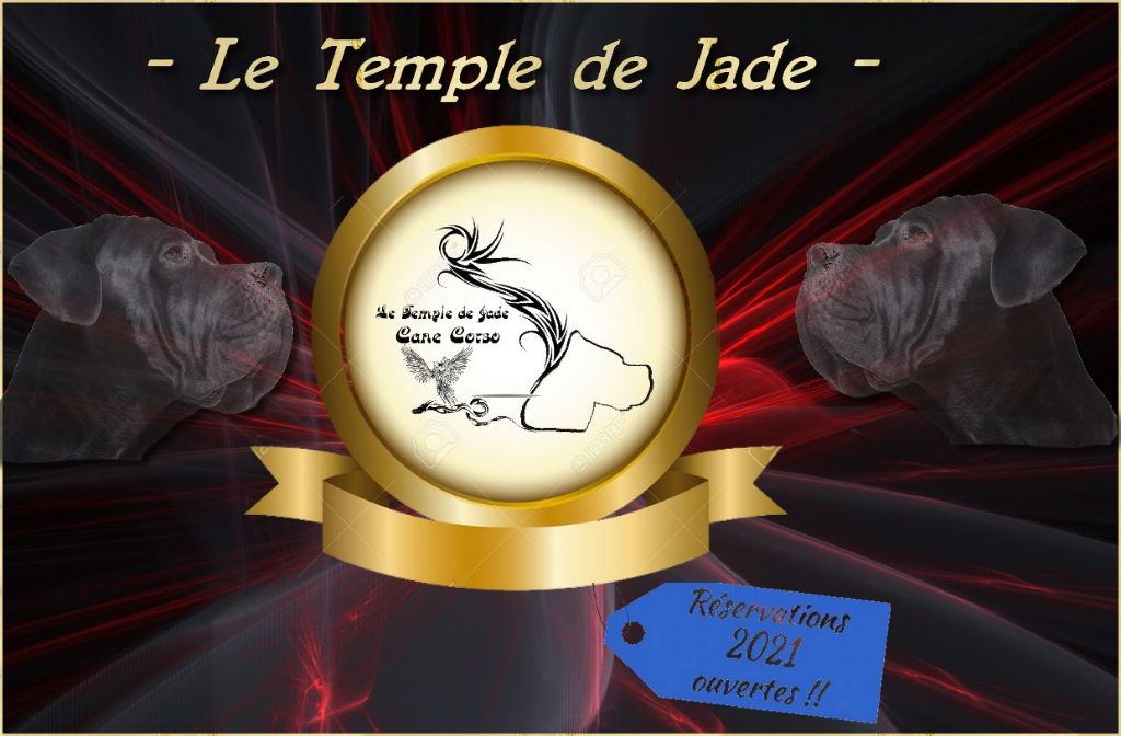 du temple de jade - Réservations ré-ouvertes ...