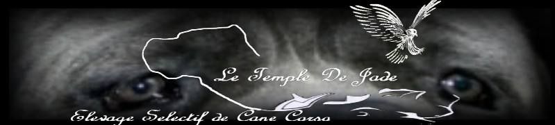 du temple de jade - Mise à Jour ...