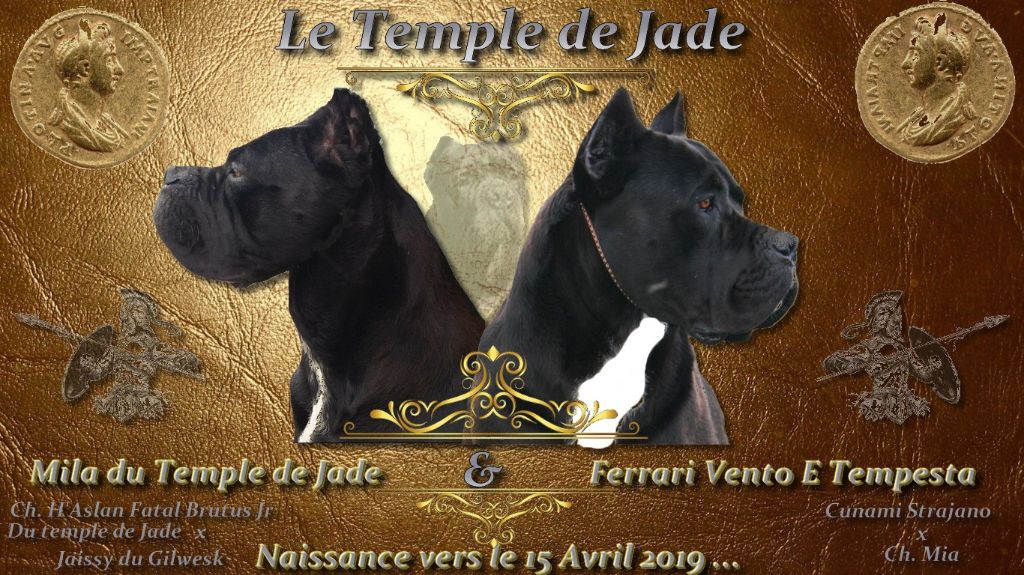 du temple de jade - A réserver ...