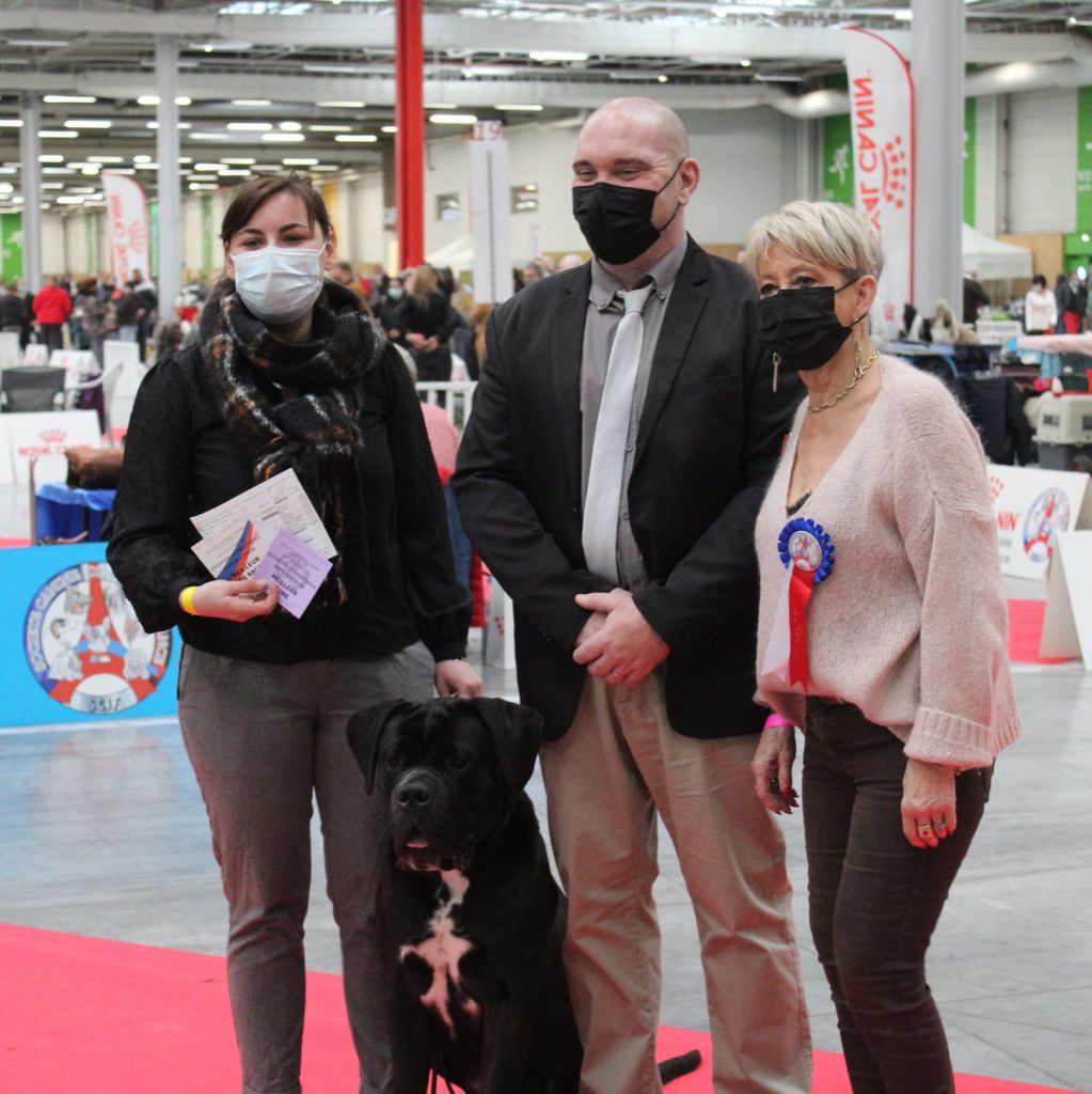 du temple de jade - Résultats du Paris Dog Show 2022...