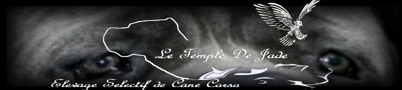 du temple de jade - Résultats de Valence ...