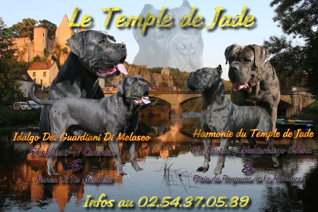 du temple de jade - Gestation confirmée ...