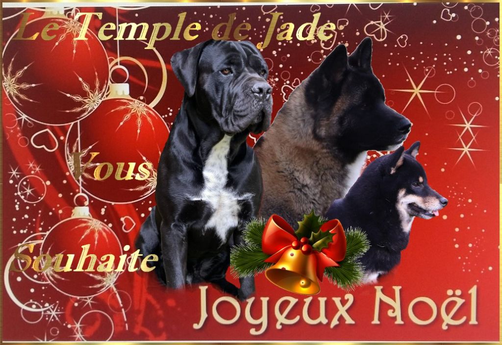 du temple de jade - Joyeux Noël 2021...