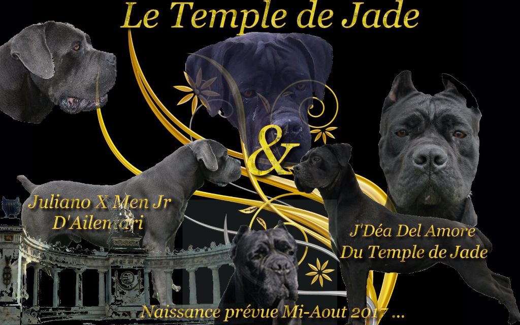 du temple de jade - Naissance ...