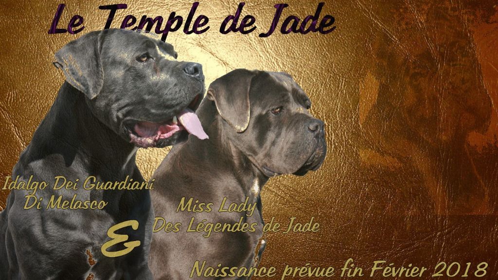 du temple de jade - Gestation confirmée ...