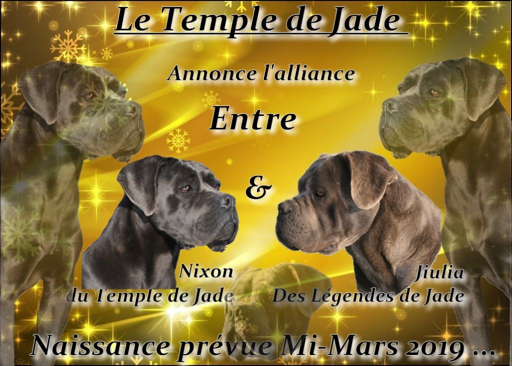 du temple de jade - Gestation Confirmée ...