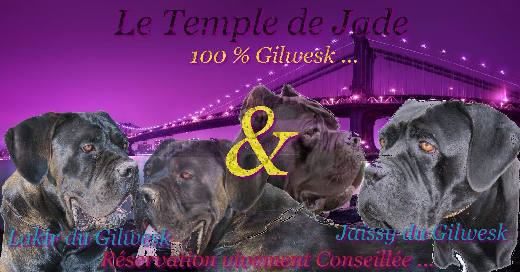 du temple de jade - Gestations confirmés ...