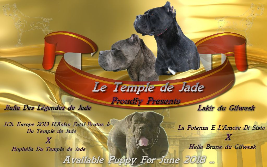 du temple de jade - Gestation confirmée ...