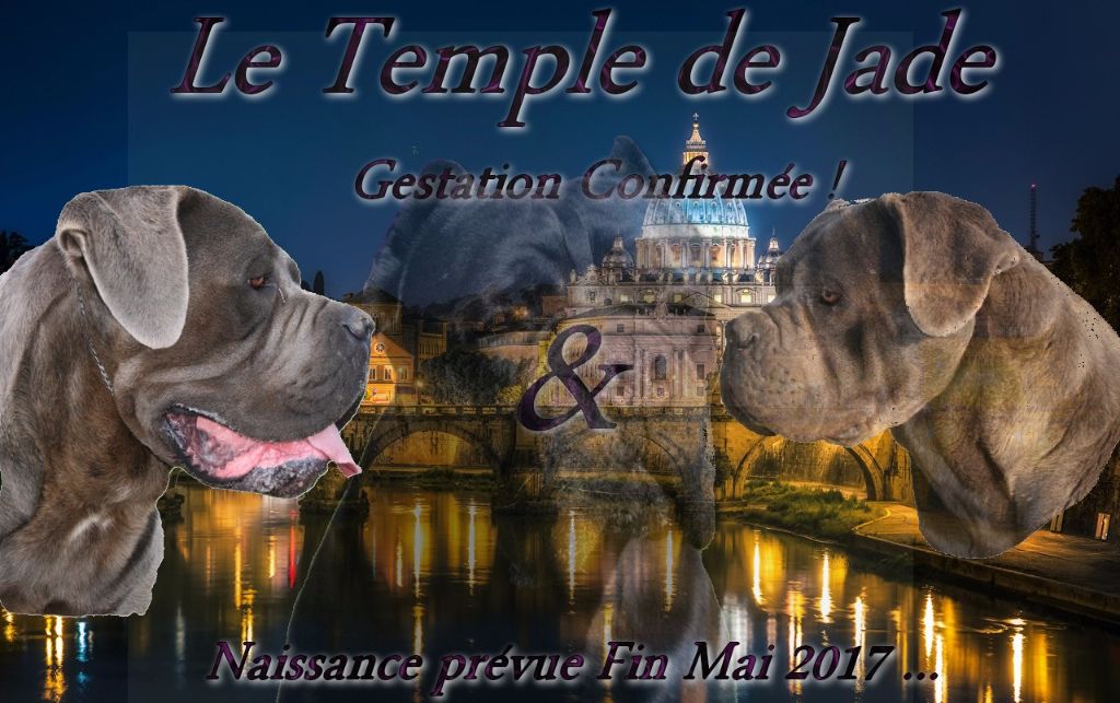 du temple de jade - Gestation Confimée ...