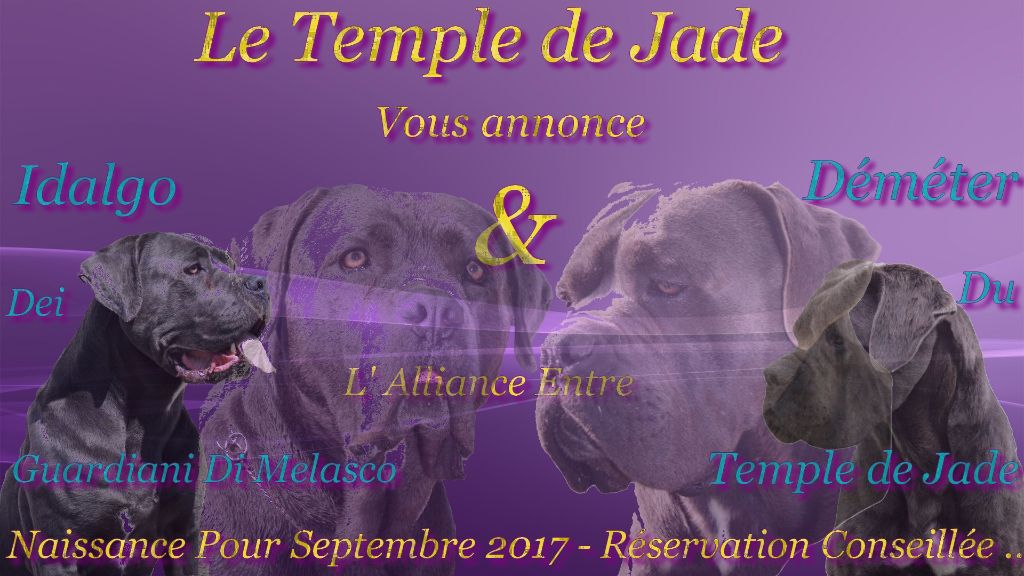 du temple de jade - Gestation Confimée ...