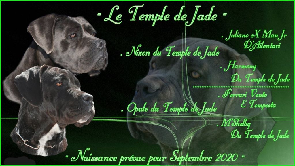 du temple de jade - Mise à Jour ...