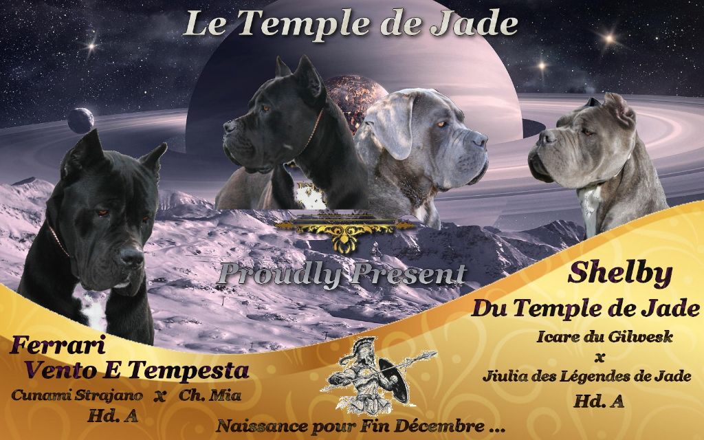 du temple de jade - A réserver ...