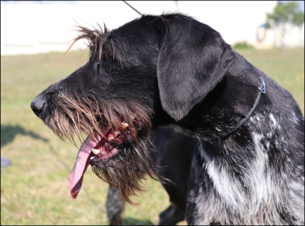 Oxana du temple de jade